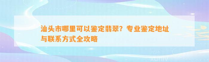 汕头市哪里可以鉴定翡翠？专业鉴定地址与联系方法全攻略