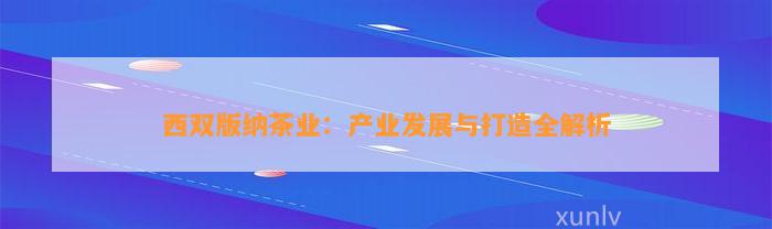 西双版纳茶业：产业发展与打造全解析