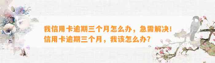 我信用卡逾期三个月怎么办，急需解决！信用卡逾期三个月，我该怎么办？