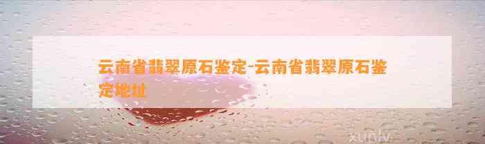 云南省翡翠原石鉴定-云南省翡翠原石鉴定地址