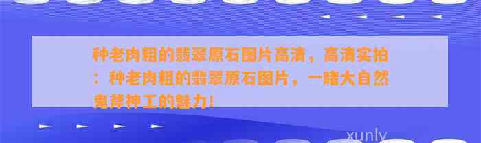 种老肉粗的翡翠原石图片高清，高清实拍：种老肉粗的翡翠原石图片，一睹大自然鬼斧神工的魅力！