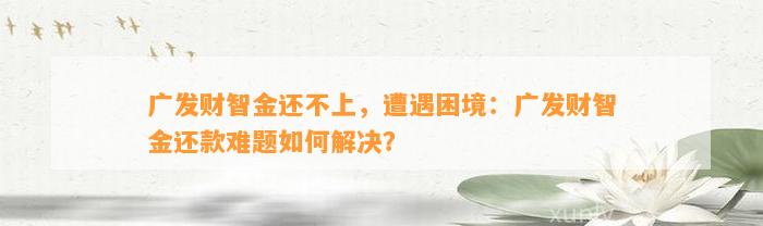 广发财智金还不上，遭遇困境：广发财智金还款难题如何解决？