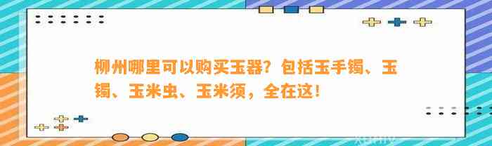 柳州哪里可以购买玉器？包含玉手镯、玉镯、玉米虫、玉米须，全在这！