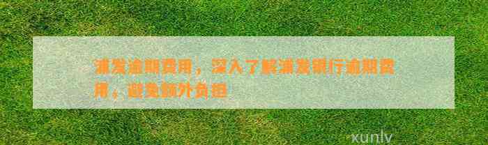 浦发逾期费用，深入了解浦发银行逾期费用，避免额外负担