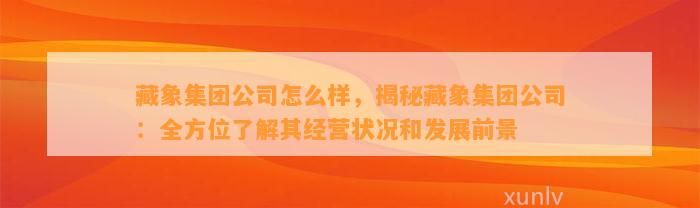 藏象集团公司怎么样，揭秘藏象集团公司：全方位了解其经营状况和发展前景