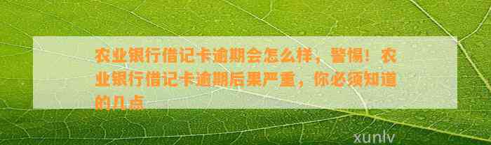 农业银行借记卡逾期会怎么样，警惕！农业银行借记卡逾期后果严重，你必须知道的几点