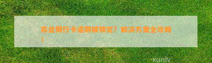 农业银行卡逾期被锁定？解决方案全攻略！