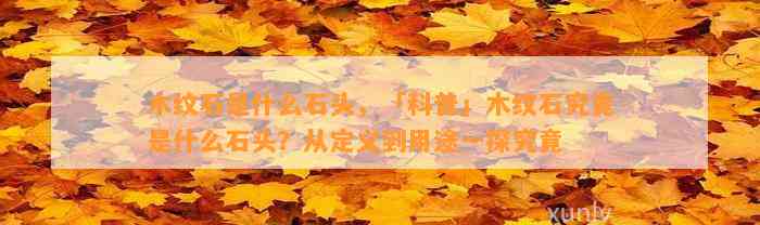 木纹石是什么石头，「科普」木纹石究竟是什么石头？从定义到用途一探究竟