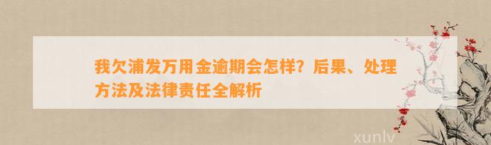 我欠浦发万用金逾期会怎样？后果、处理方法及法律责任全解析