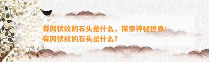 有网状纹的石头是什么，探索神秘世界：有网状纹的石头是什么？