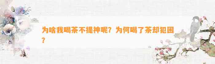 为啥我喝茶不提神呢？为何喝了茶却犯困？