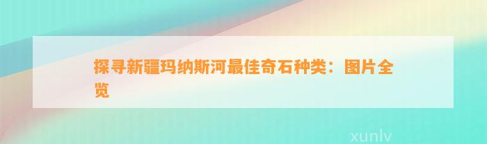 探寻新疆玛纳斯河最佳奇石种类：图片全览