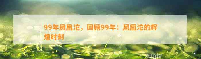 99年凤凰沱，回顾99年：凤凰沱的辉煌时刻