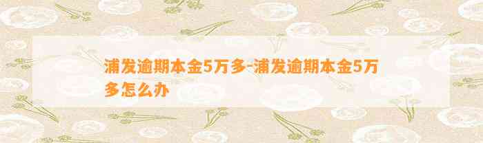 浦发逾期本金5万多-浦发逾期本金5万多怎么办