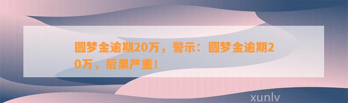 圆梦金逾期20万，警示：圆梦金逾期20万，后果严重！