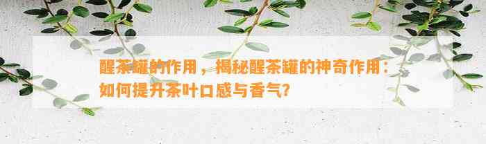 醒茶罐的作用，揭秘醒茶罐的神奇作用：怎样提升茶叶口感与香气？