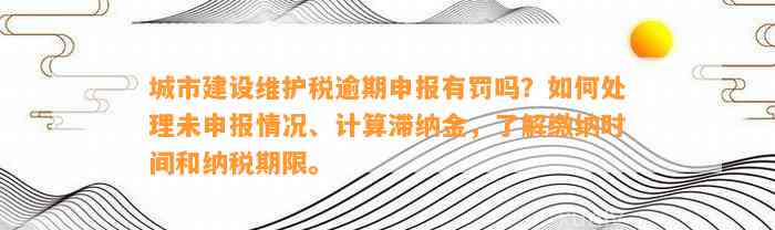 城市建设维护税逾期申报有罚吗？如何处理未申报情况、计算滞纳金，了解缴纳时间和纳税期限。