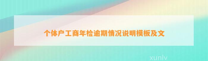 个体户工商年检逾期情况说明模板及文