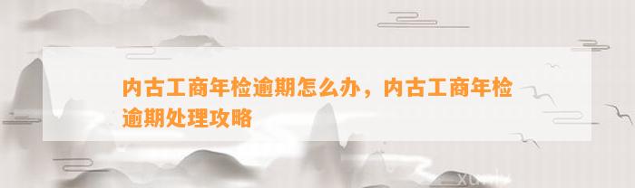 内古工商年检逾期怎么办，内古工商年检逾期处理攻略