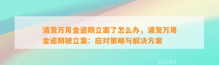 浦发万用金逾期立案了怎么办，浦发万用金逾期被立案：应对策略与解决方案