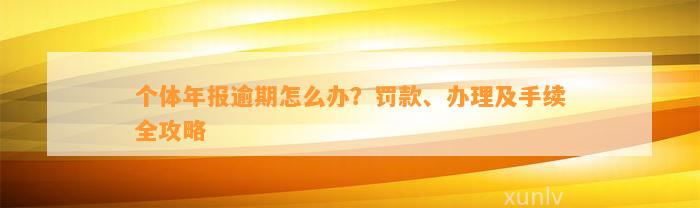 个体年报逾期怎么办？罚款、办理及手续全攻略